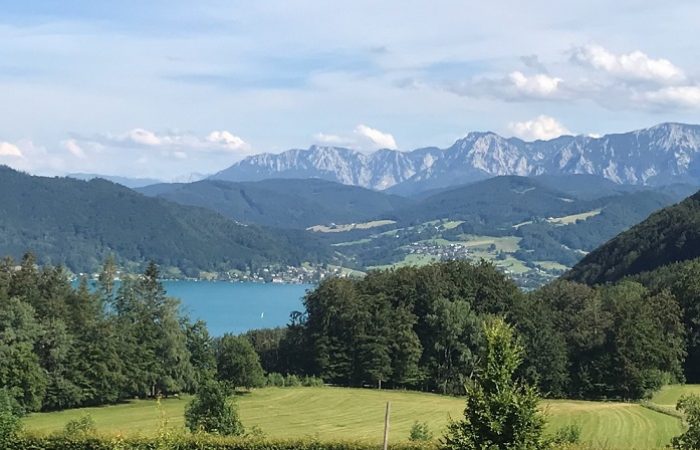 Well Living am Attersee